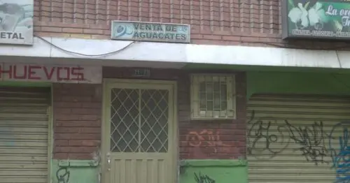 VENTA DE AGUACATES BOGOTÁ VENTA DE AGUACATES BOGOTÁ